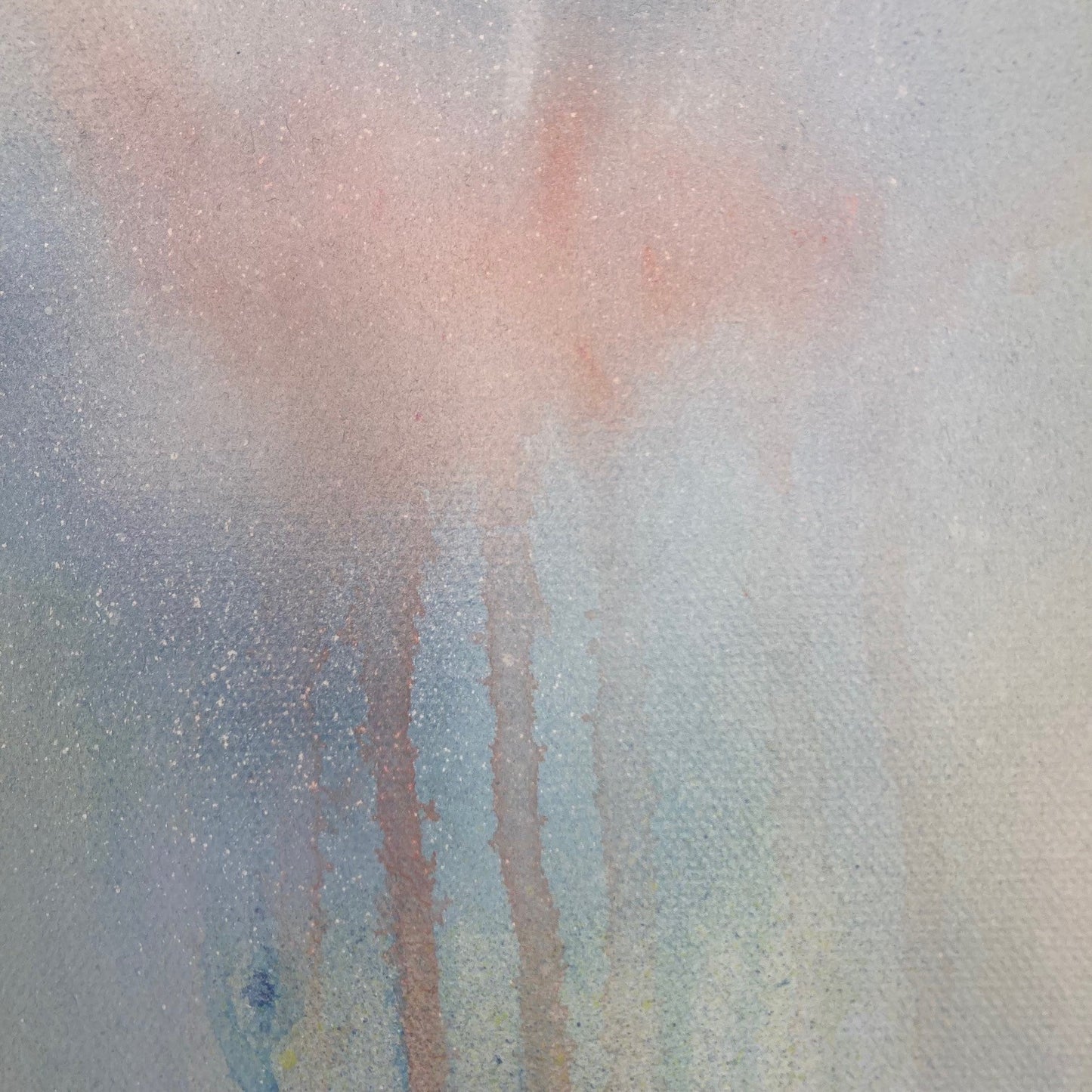 Dreams can come true